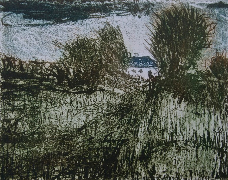 Monasterevin Environs 2, aquatint, 16.2 x 24 cm, edition of 55