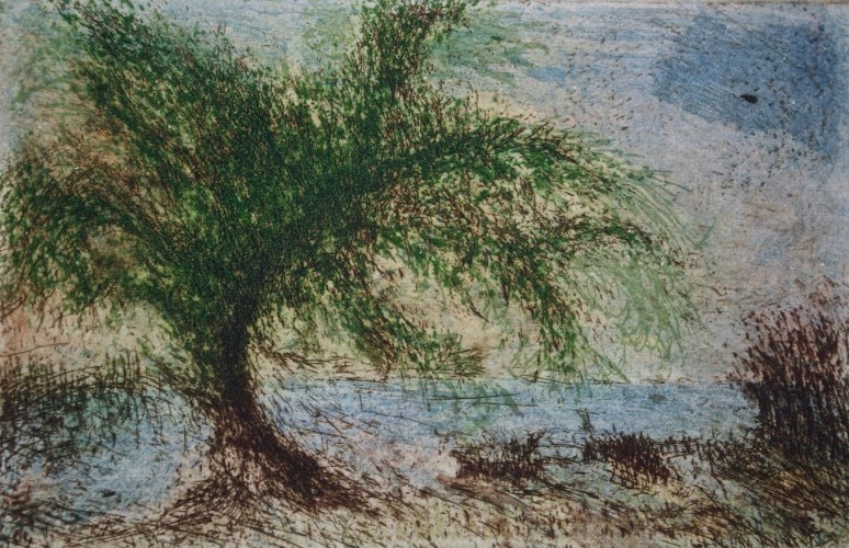 Tree Shaped by Storms, etching and aquatint, 7 x 11 cm, edition of 55