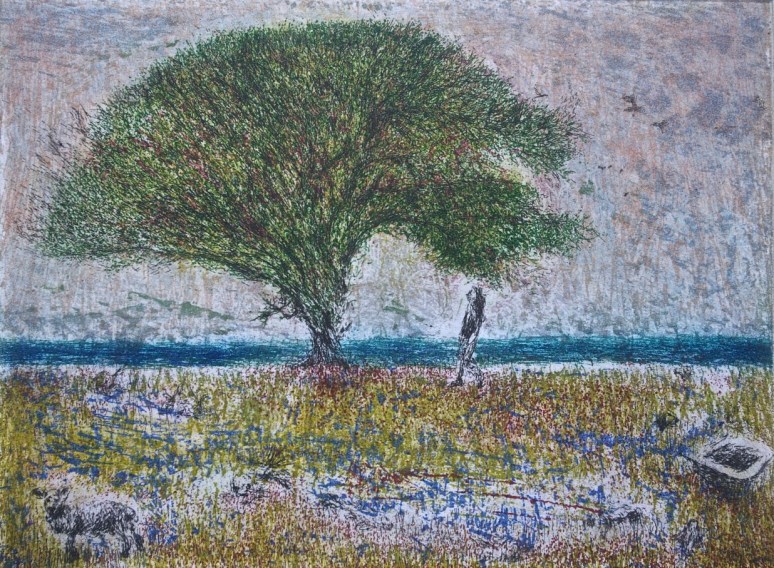 Wondertree between the Ocean and a Bathtub, etching and aquatint, 16 x 21 cm, edition of 55